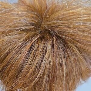 Hairdo True2Life Wig Short Red Brown 19H117